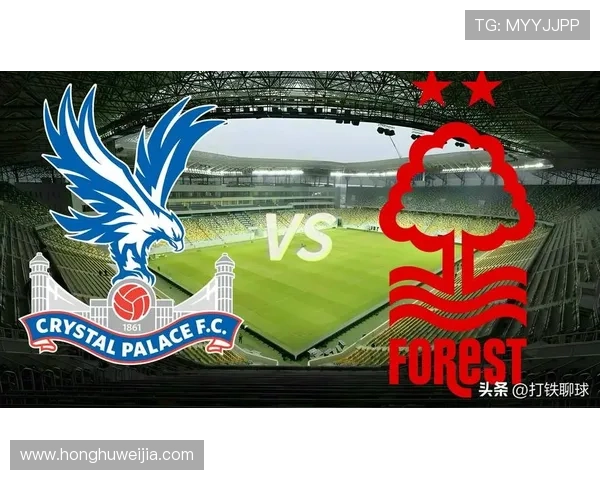 水晶宫俱乐部宣布新赛季阵容调整 目标冲击英超前八名